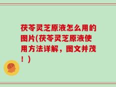茯苓灵芝原液怎么用的图片(茯苓灵芝原液使用方法详解，图文并茂！)