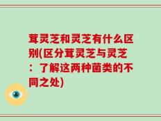 茸灵芝和灵芝有什么区别(区分茸灵芝与灵芝：了解这两种菌类的不同之处)