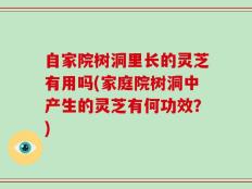 自家院树洞里长的灵芝有用吗(家庭院树洞中产生的灵芝有何功效？)