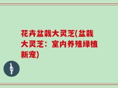 花卉盆栽大灵芝(盆栽大灵芝：室内养殖绿植新宠)