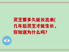 灵芝要多久能长出来(几年后灵芝才能生长，你知道为什么吗？