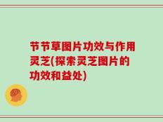 节节草图片功效与作用灵芝(探索灵芝图片的功效和益处)