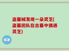 盗墓贼发现一朵灵芝(盗墓团队在古墓中偶遇灵芝)