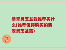 翡翠灵芝盆栽推荐买什么(推荐值得购买的翡翠灵芝盆栽)