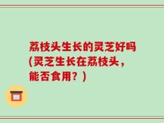 荔枝头生长的灵芝好吗(灵芝生长在荔枝头，能否食用？)