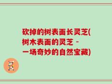 砍掉的树表面长灵芝(树木表面的灵芝 - 一场奇妙的自然宝藏)
