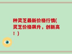 种灵芝最新价格行情(灵芝价格飙升，创新高！)