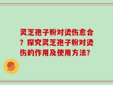 灵芝孢子粉对烫伤愈合？探究灵芝孢子粉对烫伤的作用及使用方法？