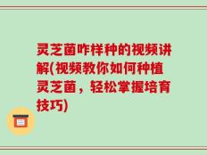 灵芝菌咋样种的视频讲解(视频教你如何种植灵芝菌，轻松掌握培育技巧)