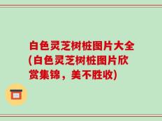 白色灵芝树桩图片大全(白色灵芝树桩图片欣赏集锦，美不胜收)