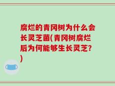 腐烂的青冈树为什么会长灵芝菌(青冈树腐烂后为何能够生长灵芝？)