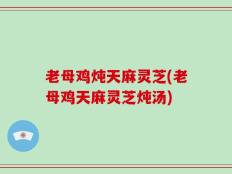 老母鸡炖天麻灵芝(老母鸡天麻灵芝炖汤)