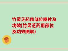 竹灵芝药用部位图片及功效(竹灵芝药用部位及功效图解)