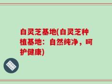 白灵芝基地(白灵芝种植基地：自然纯净，呵护健康)