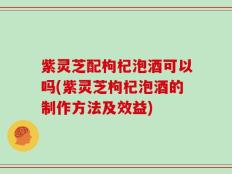 紫灵芝配枸杞泡酒可以吗(紫灵芝枸杞泡酒的制作方法及效益)