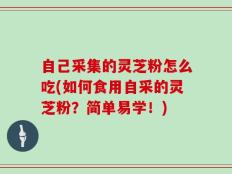 自己采集的灵芝粉怎么吃(如何食用自采的灵芝粉？简单易学！)