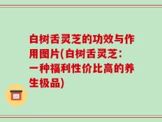 白树舌灵芝的功效与作用图片(白树舌灵芝：一种福利性价比高的养生极品)