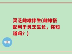 灵芝雌雄伴生(雌雄搭配利于灵芝生长，你知道吗？)