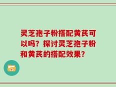 灵芝孢子粉搭配黄芪可以吗？探讨灵芝孢子粉和黄芪的搭配效果？