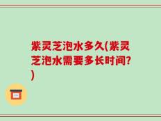 紫灵芝泡水多久(紫灵芝泡水需要多长时间？)