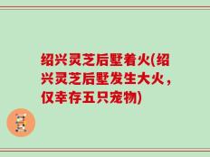 绍兴灵芝后墅着火(绍兴灵芝后墅发生大火，仅幸存五只宠物)