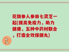 花旗参人参田七灵芝一起(提高免疫力，助力健康，五种中药材联合，打造全效保健丸)