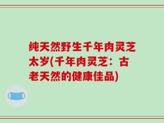 纯天然野生千年肉灵芝太岁(千年肉灵芝：古老天然的健康佳品)