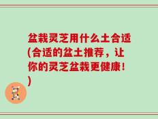 盆栽灵芝用什么土合适(合适的盆土推荐，让你的灵芝盆栽更健康！)