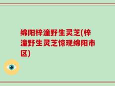 绵阳梓潼野生灵芝(梓潼野生灵芝惊现绵阳市区)
