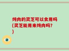 炖肉的灵芝可以食用吗(灵芝能用来炖肉吗？)