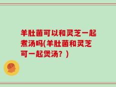 羊肚菌可以和灵芝一起煮汤吗(羊肚菌和灵芝可一起煲汤？)