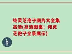 纯灵芝孢子图片大全集高清(高清图集：纯灵芝孢子全景展示)
