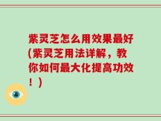 紫灵芝怎么用效果最好(紫灵芝用法详解，教你如何最大化提高功效！)