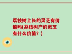 荔枝树上长的灵芝有价值吗(荔枝树产的灵芝有什么价值？)