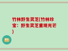 竹林野生灵芝(竹林珍宝：野生灵芝重现光芒)