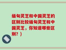 缅甸灵芝和中国灵芝的区别比较缅甸灵芝和中国灵芝，你知道哪些区别？)