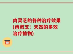 肉灵芝的各种治疗效果(肉灵芝：天然的多效治疗植物)