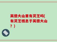 英德大山里有灵芝吗(有灵芝栖息于英德大山？)