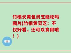 竹根长黄色灵芝能吃吗图片(竹根黄灵芝：不仅好看，还可以食用哦！)