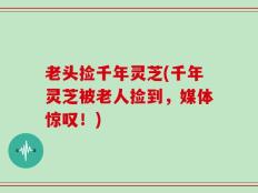 老头捡千年灵芝(千年灵芝被老人捡到，媒体惊叹！)