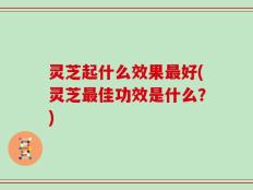 灵芝起什么效果最好(灵芝最佳功效是什么？)