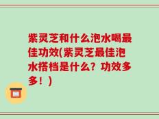 紫灵芝和什么泡水喝最佳功效(紫灵芝最佳泡水搭档是什么？功效多多！)