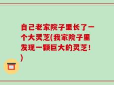 自己老家院子里长了一个大灵芝(我家院子里发现一颗巨大的灵芝！)