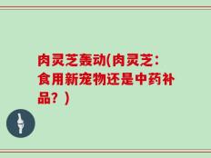 肉灵芝轰动(肉灵芝：食用新宠物还是中药补品？)