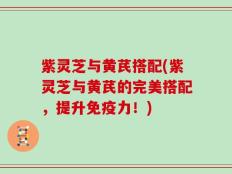 紫灵芝与黄芪搭配(紫灵芝与黄芪的完美搭配，提升免疫力！)