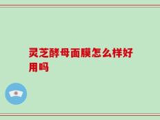 灵芝酵母面膜怎么样好用吗