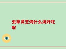 虫草灵芝炖什么汤好吃呢
