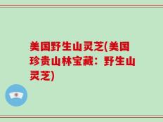 美国野生山灵芝(美国珍贵山林宝藏：野生山灵芝)