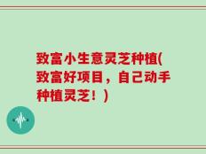 致富小生意灵芝种植(致富好项目，自己动手种植灵芝！)