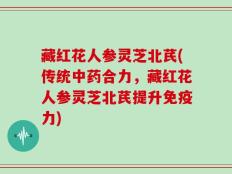 藏红花人参灵芝北芪(传统中药合力，藏红花人参灵芝北芪提升免疫力)